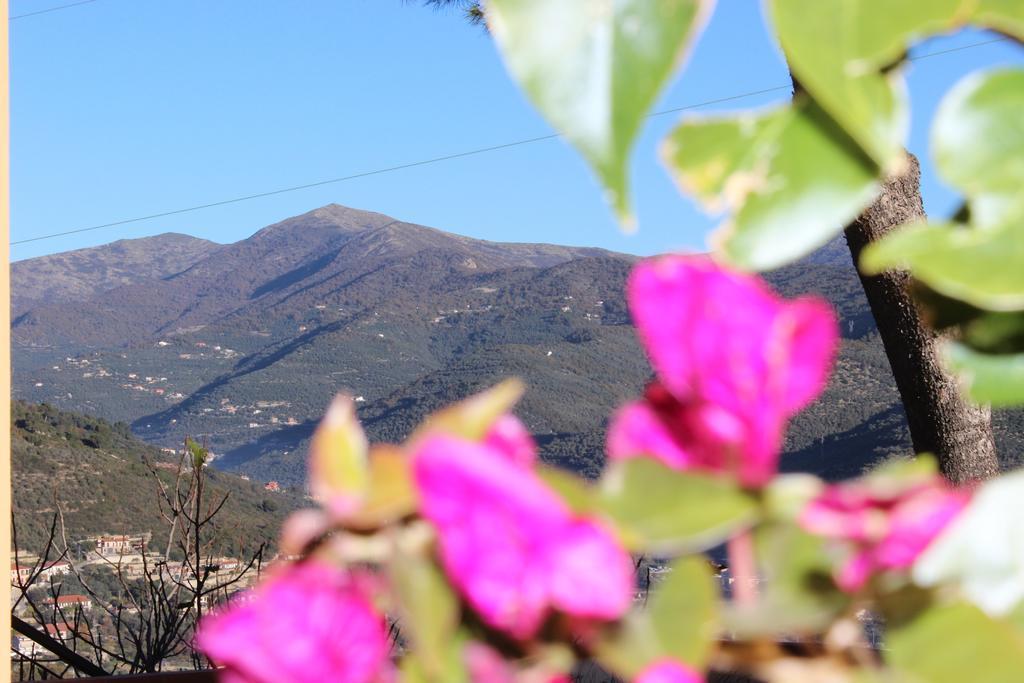 Tenuta Domine Imperia Rom bilde